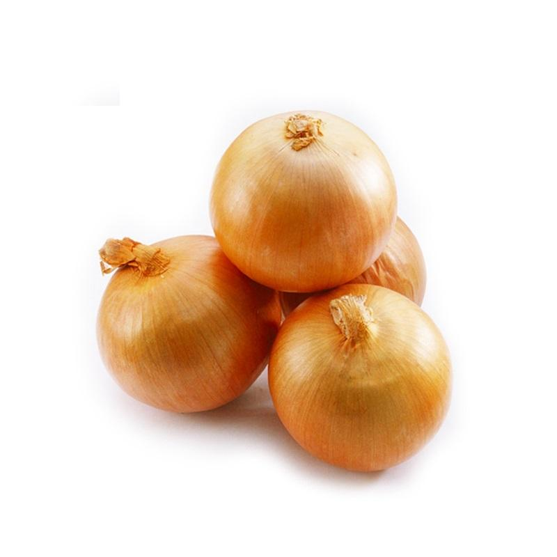 China Exporters Wholesale Price Yellow Onion Agriculture Supplier Fresh Red Onion for Sale