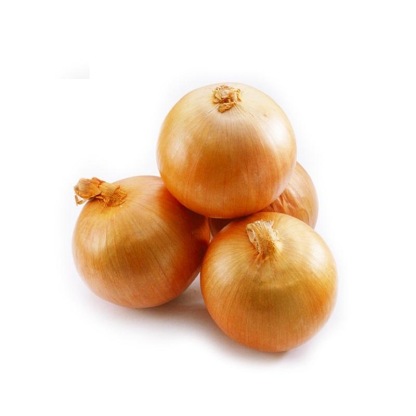 China Exporters Wholesale Price Yellow Onion Agriculture Supplier Fresh Red Onion for Sale