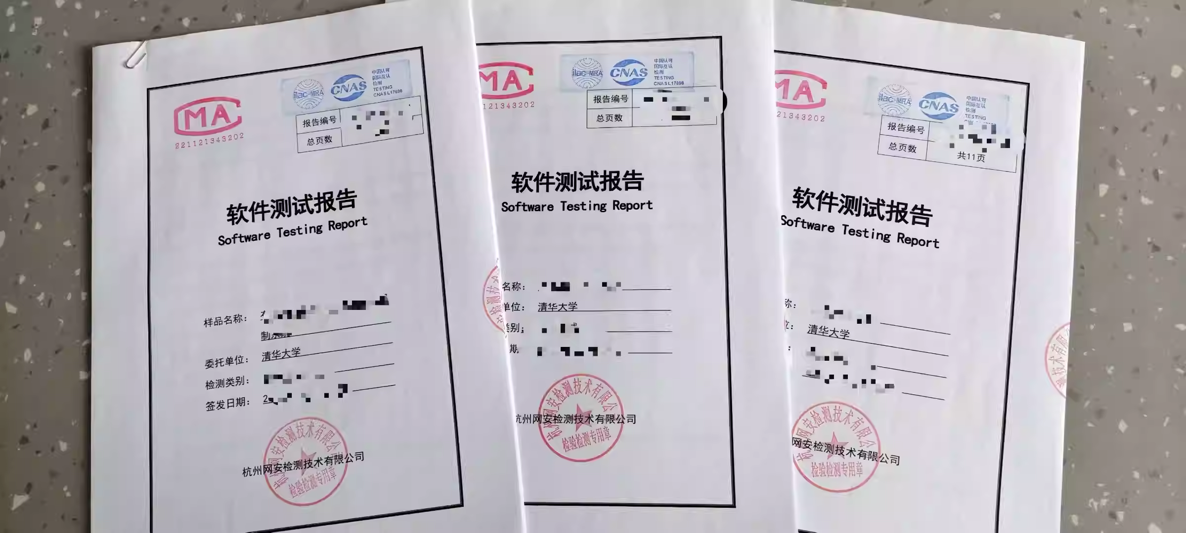 Software product registration testing, acceptance testing, functional testing, performance testing, vulnerability scanning, and code auditing.