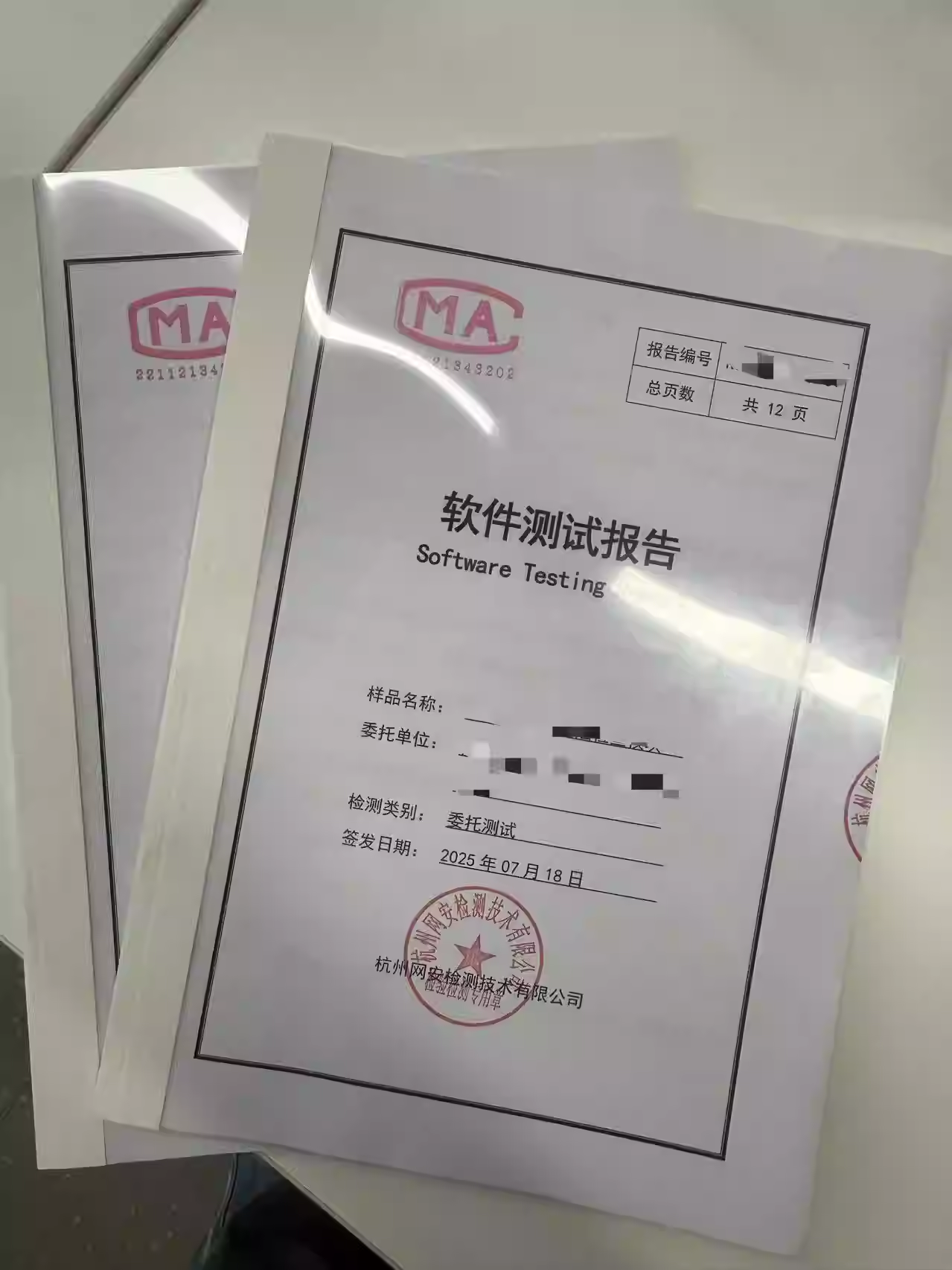 Software product registration testing, acceptance testing, functional testing, performance testing, vulnerability scanning, and code auditing.