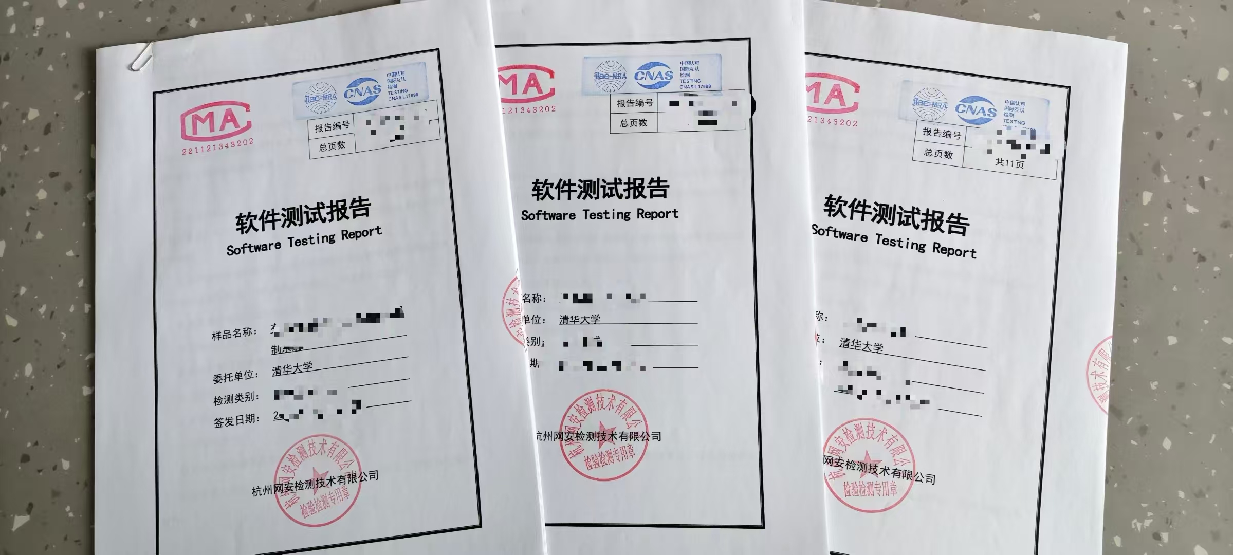 Software product registration testing, acceptance testing, functional testing, performance testing, vulnerability scanning, and code auditing.