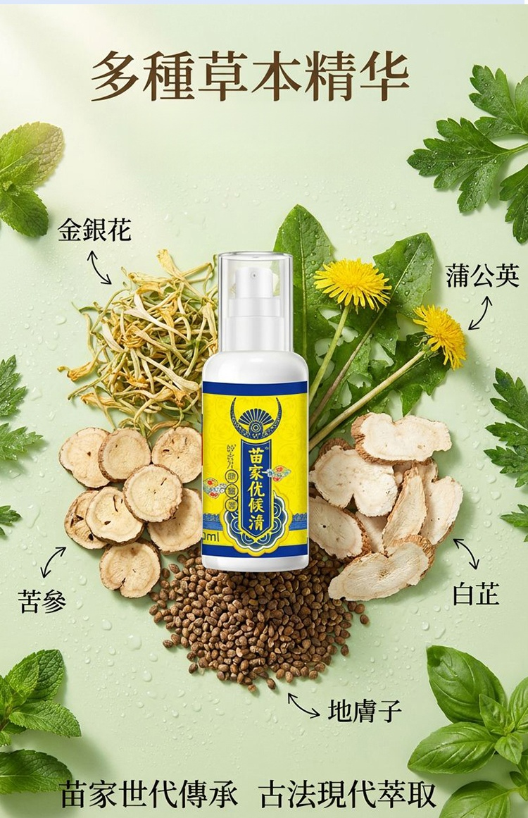 翻译_14.jpg