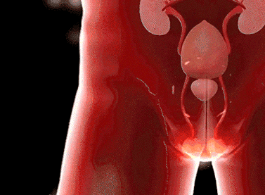 5db12f1e7ec09b9172b84dcc048d33d3.gif