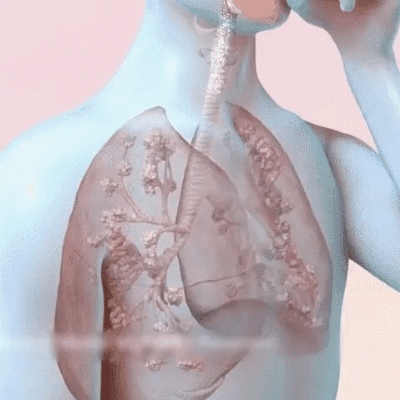 连花清肺润喉糖_29.gif