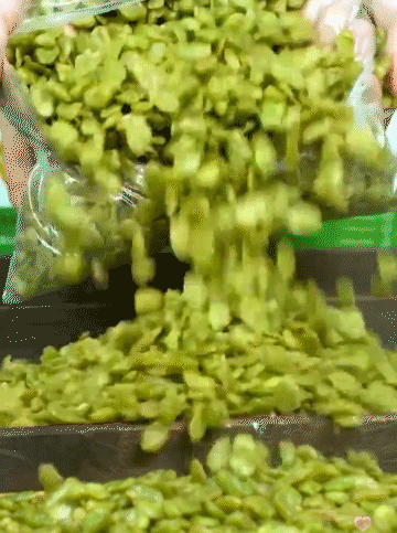 1.gif