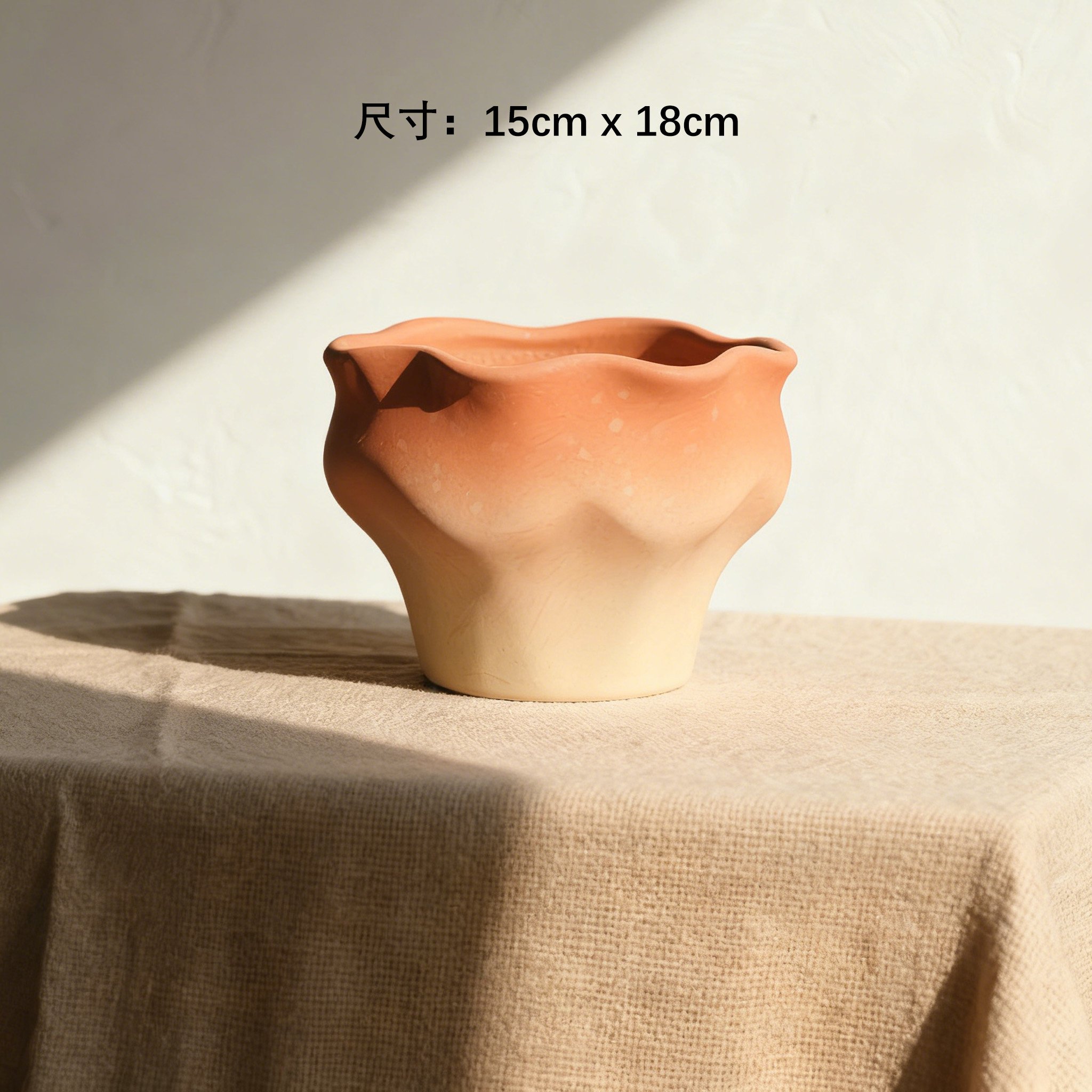 漸層設計花盆擺放植物展示