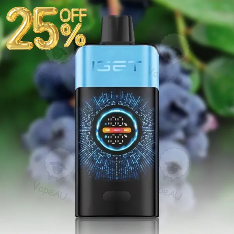 IGET ONE 12K Blueberry Ice 12000 Puffs