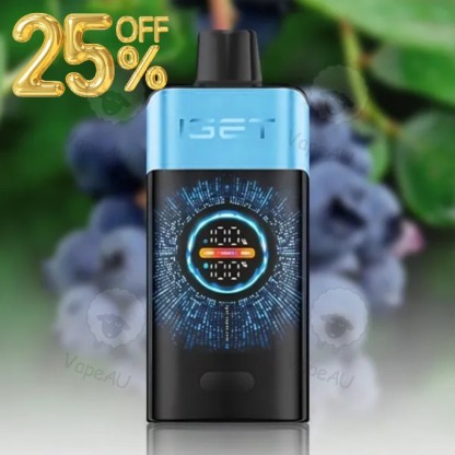 IGET ONE 12K Blueberry Ice 12000 Puffs
