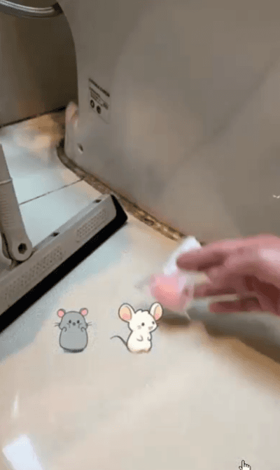 Honeycam 2025-12-08 19-25-41.gif