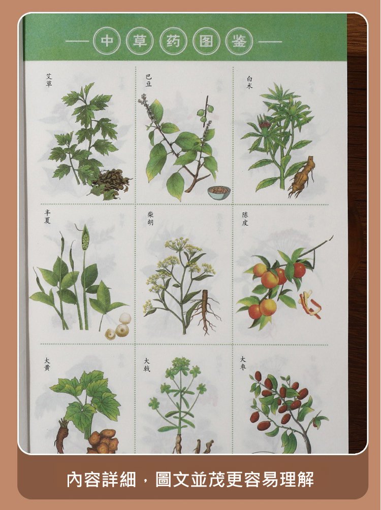 翻译件-HFH-药王孙思邈妙方大全-1344110-系统_13.jpg