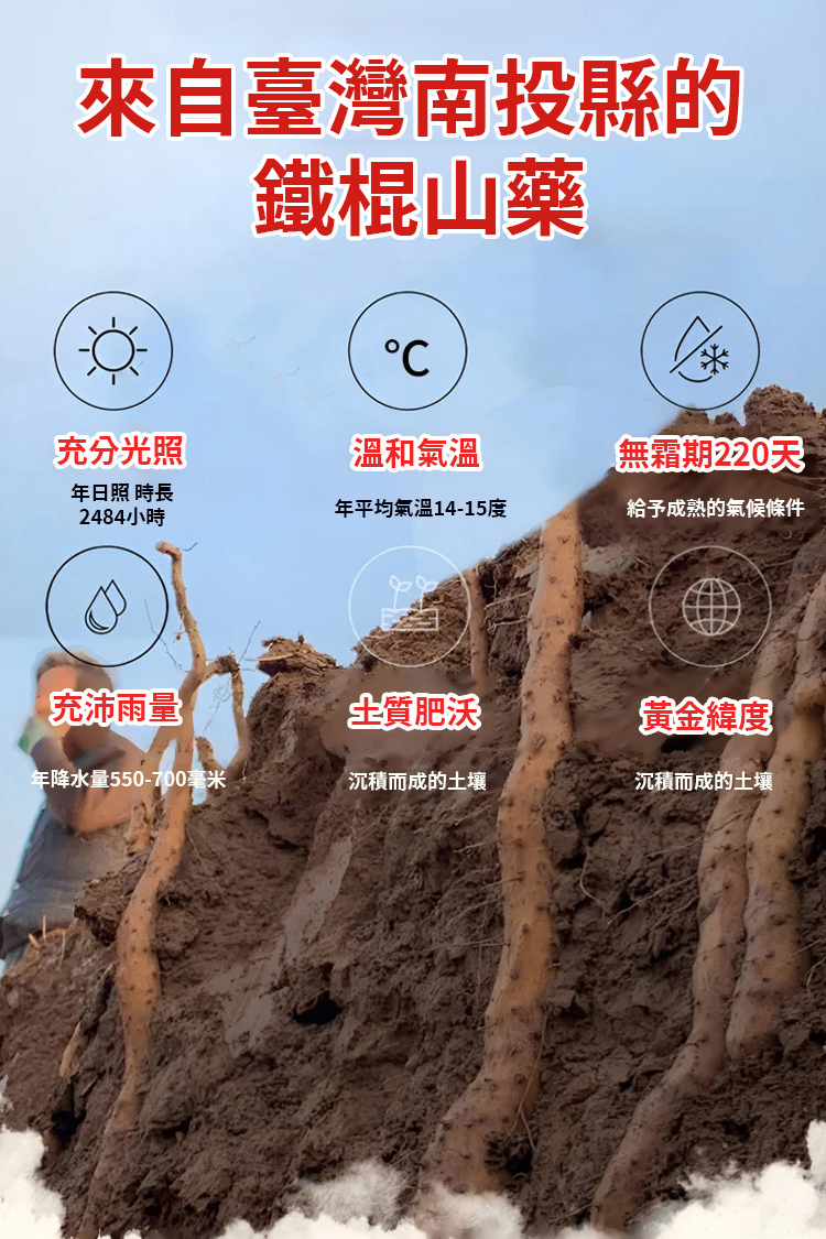 翻译_15.jpg