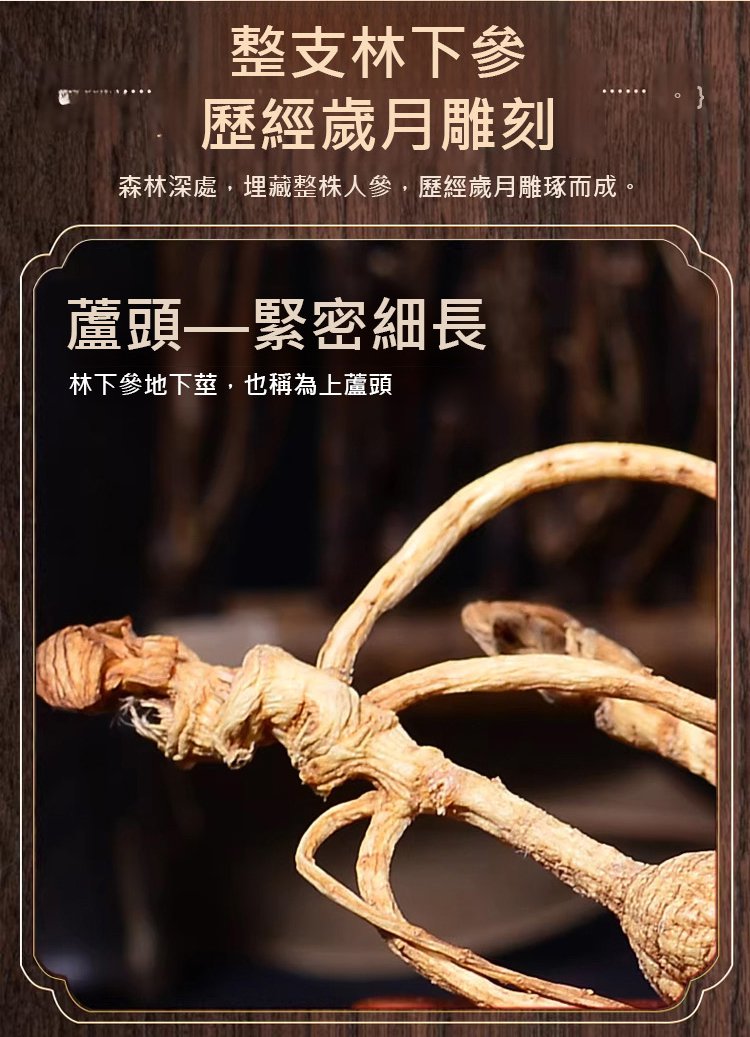 翻译_09.jpg