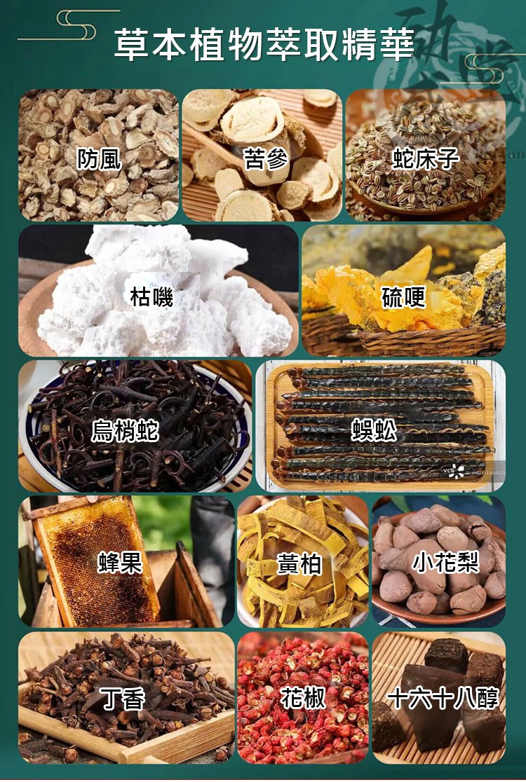 翻译_13.jpg