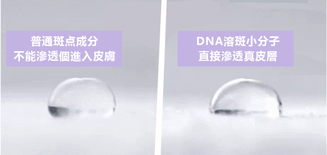 c3ef163c-ebbf-44a1-8a6c-5a17f211bd03.gif