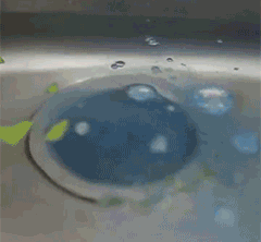 1578561871330945.gif