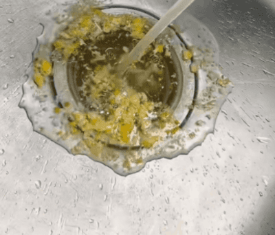 Honeycam 2026-01-30 17-01-32.gif