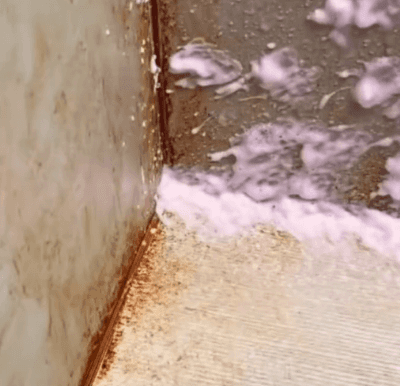 Honeycam 2026-01-31 16-48-06.gif