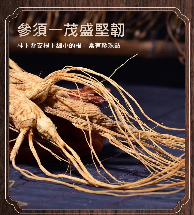 翻译_11.jpg