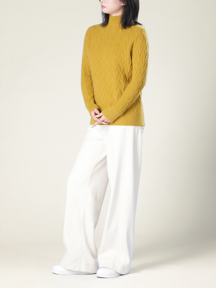 1326834 秋冬新款半高领毛衣