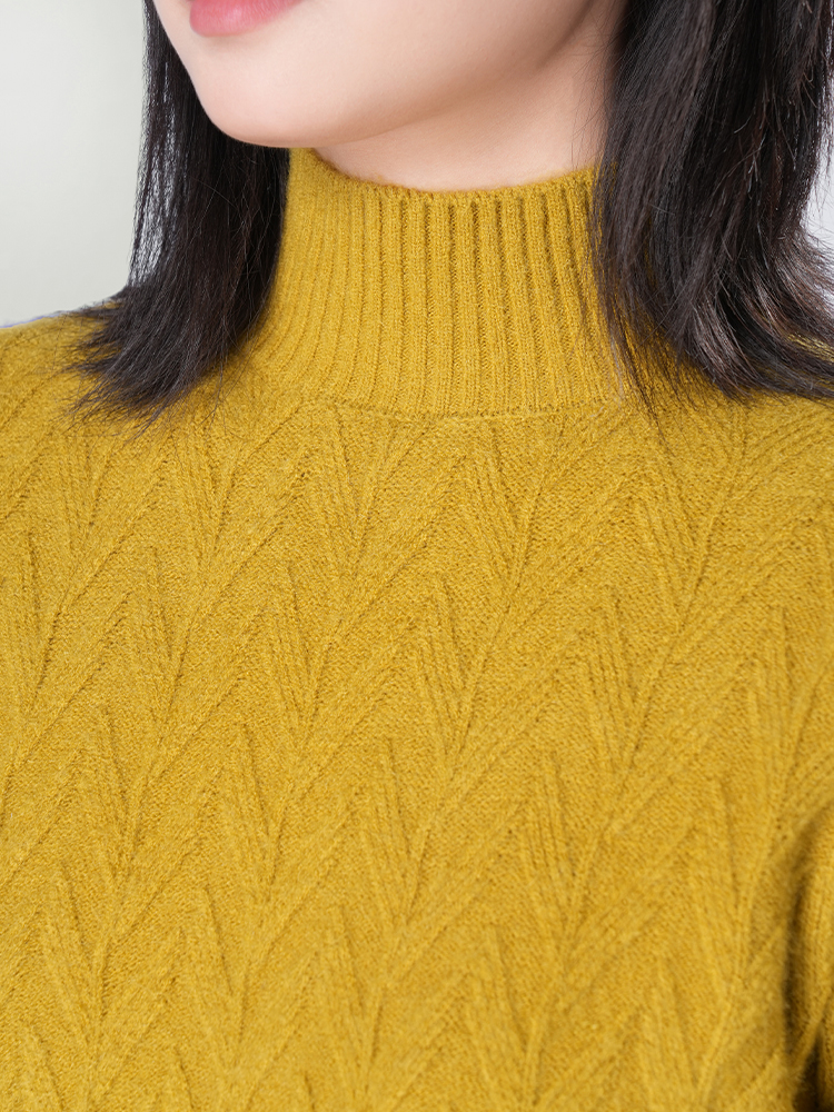 1326834 秋冬新款半高领毛衣