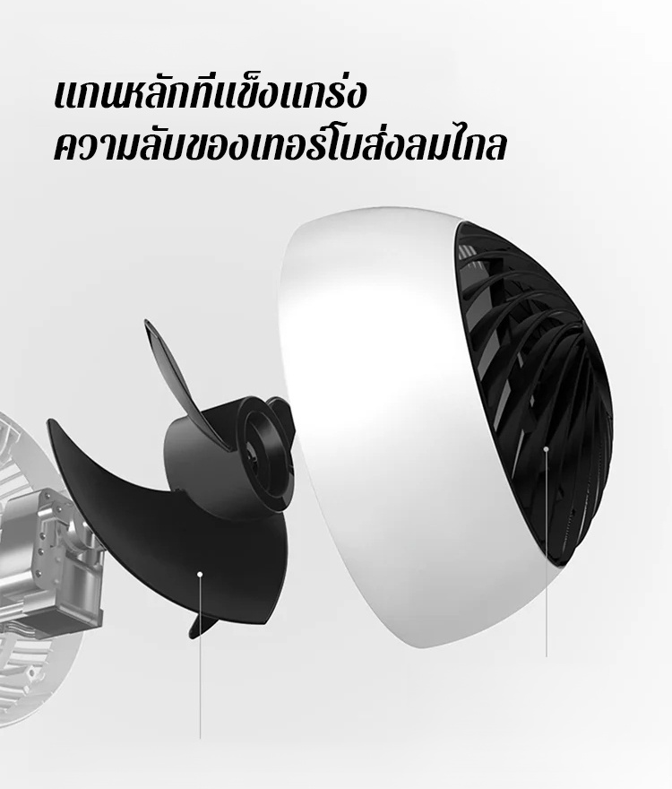1184728_10.jpg