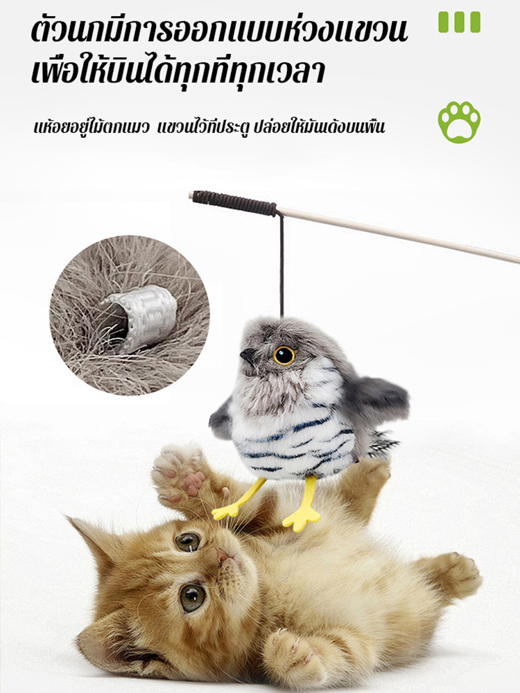 ของเล่นจำลองนกสำหรับแมว