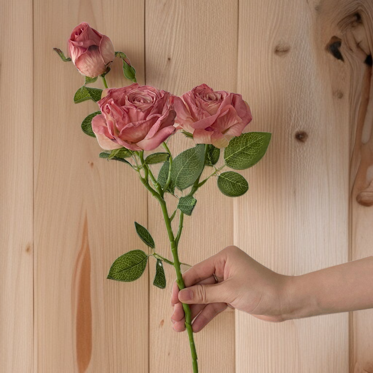 สินค้าทั้งหมด