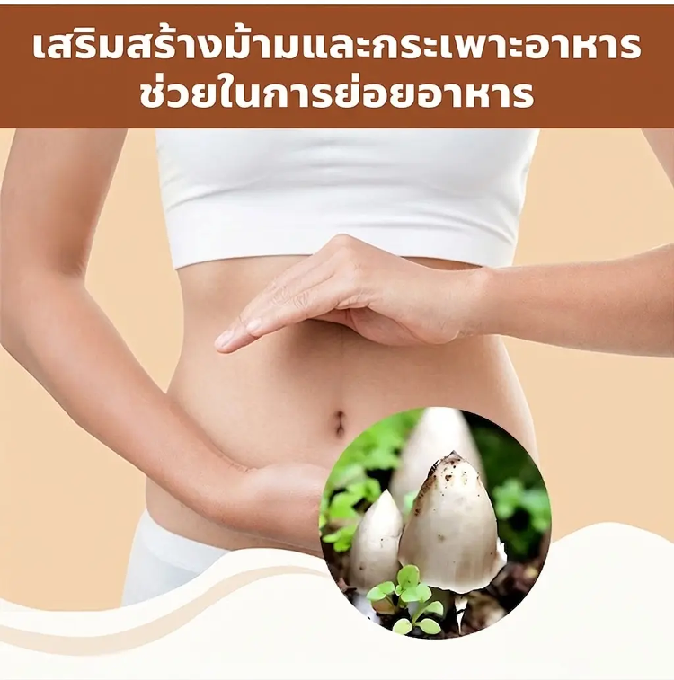 详情图_8.png