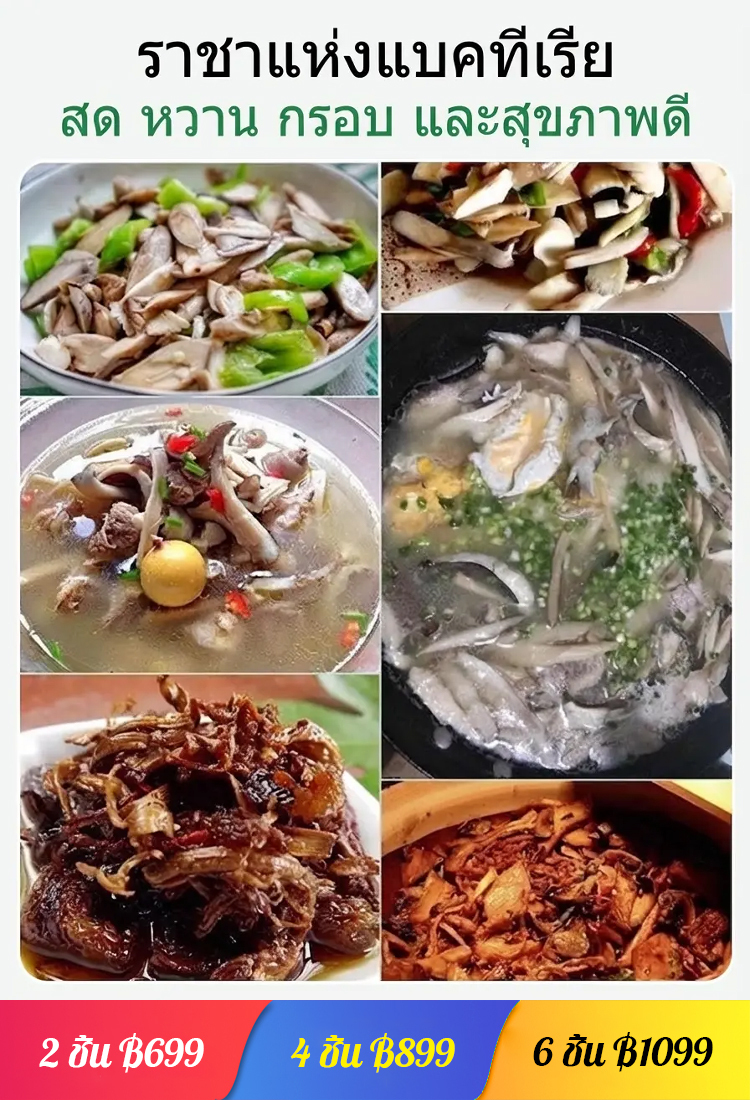 สายพันธุ์เห็ดเทอร์มิโทไมเซสแท้