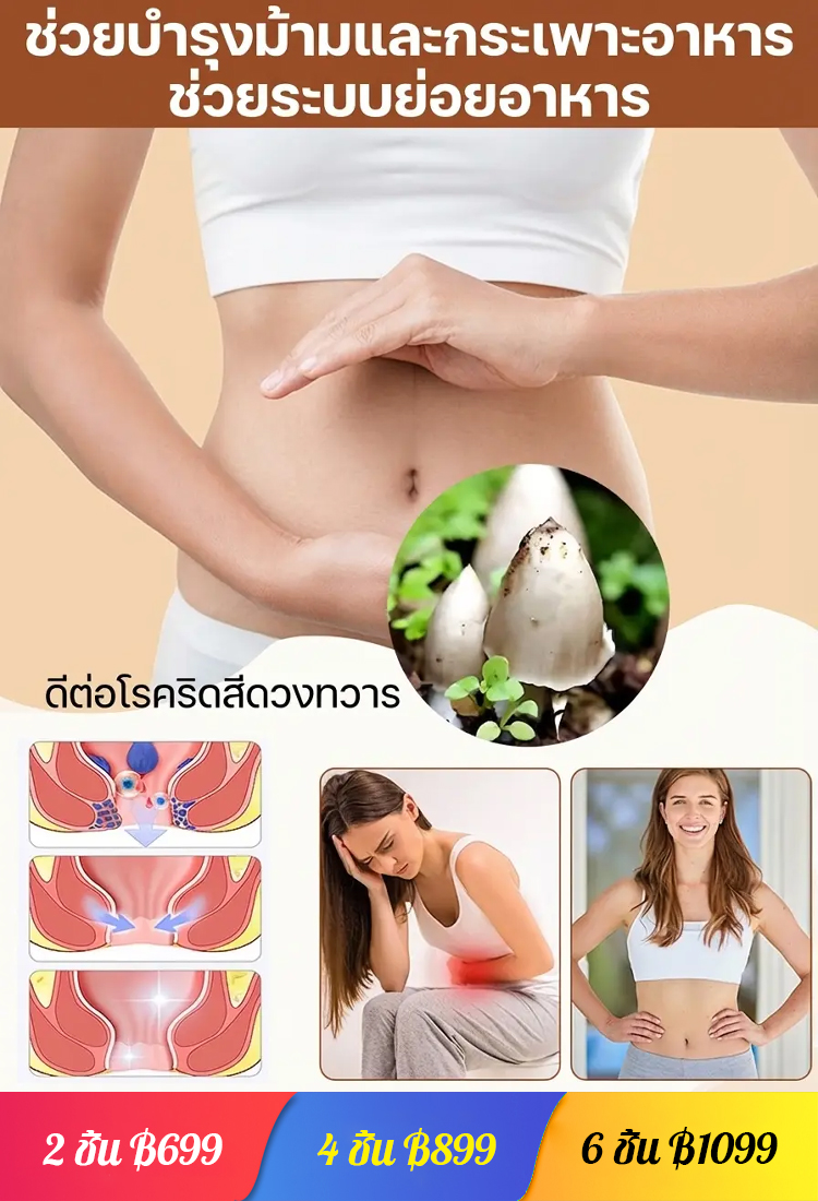 สายพันธุ์เห็ดเทอร์มิโทไมเซสแท้