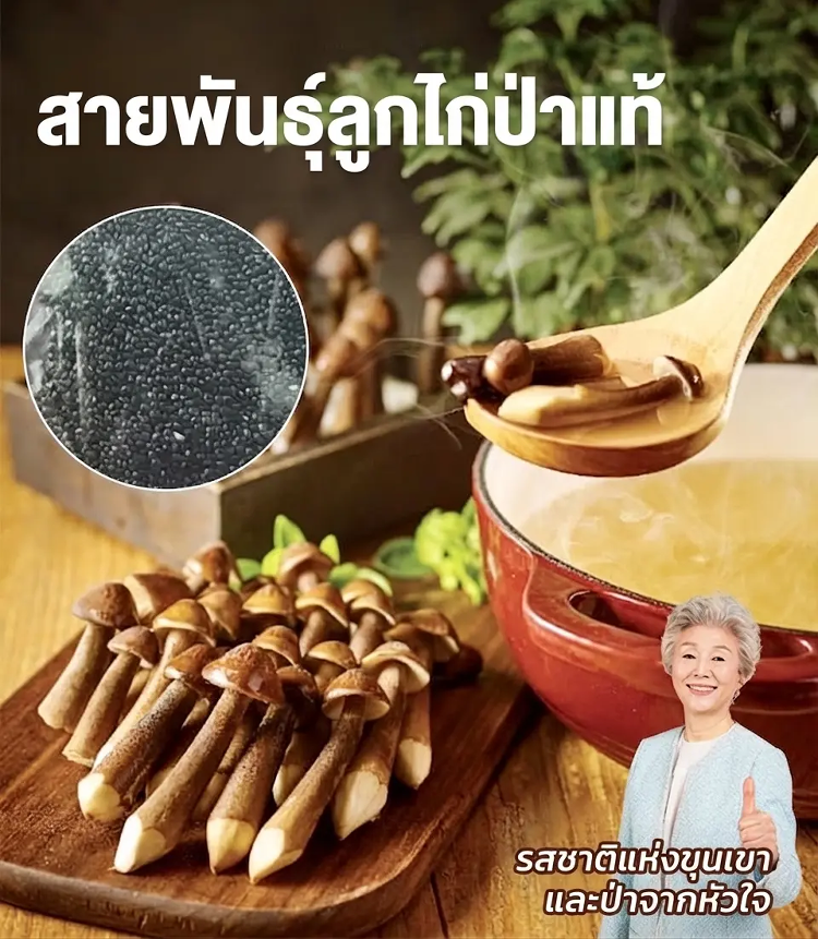 详情图_1.png