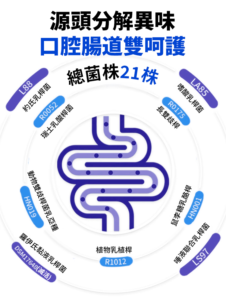 【口臭剋星】腸道益生菌凍乾粉