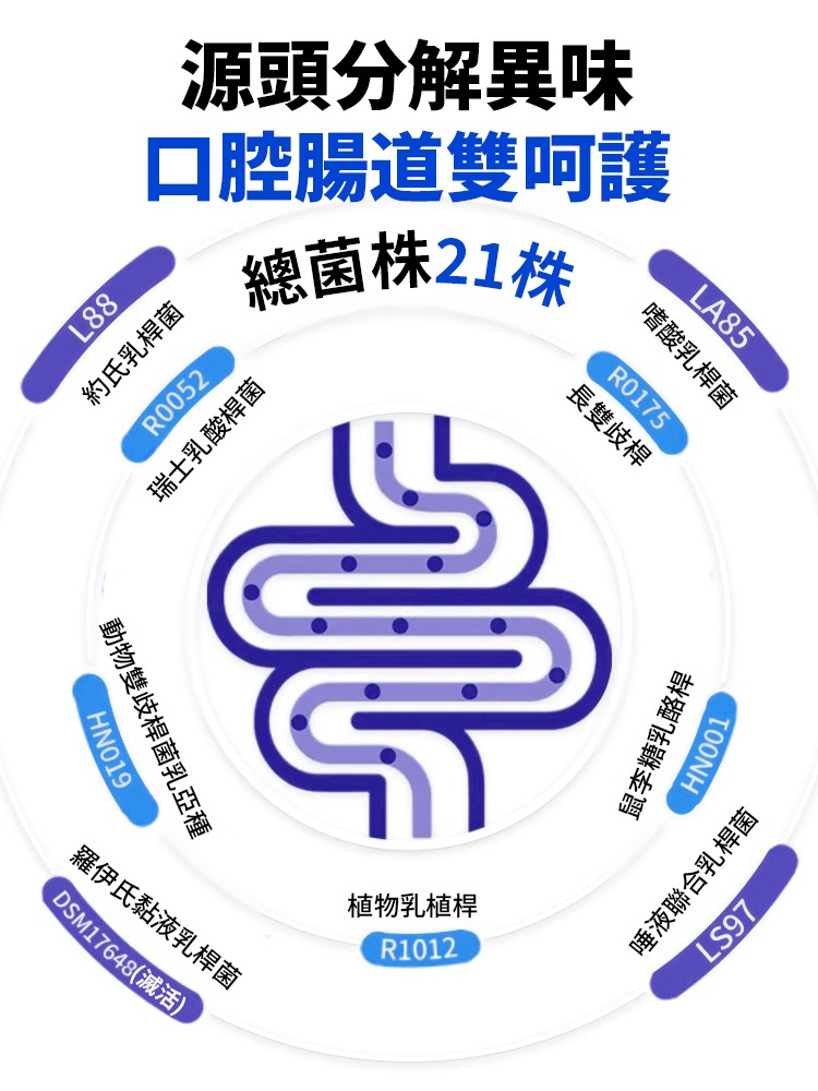 【口臭剋星】腸道益生菌凍乾粉