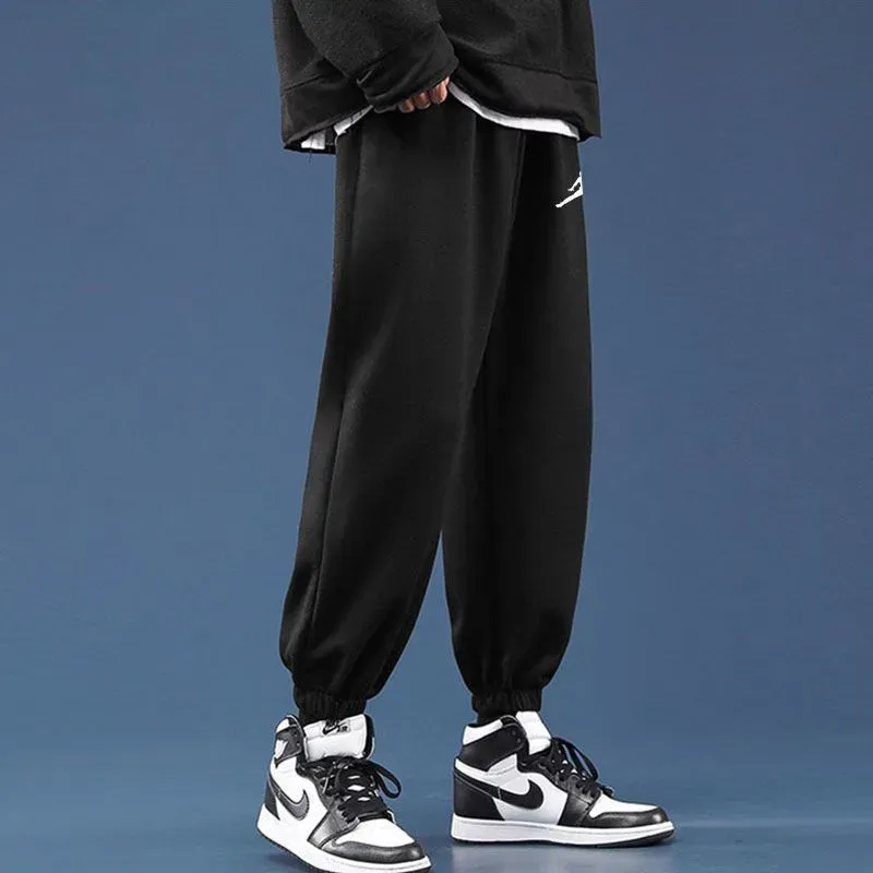 『M-5XL』目立つ 取り入れたい 裏起毛 レギュラー丈 長袖 パーカー パンツ