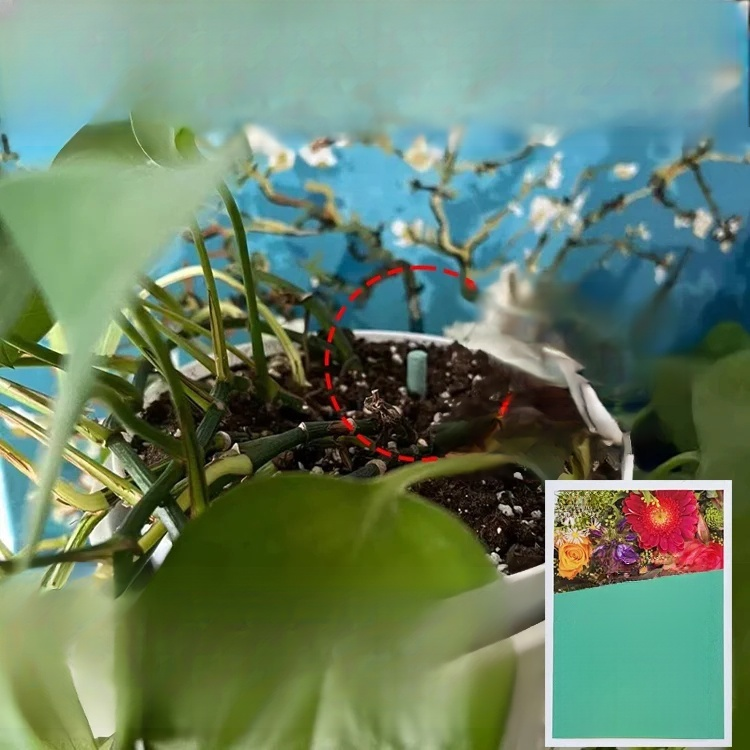 植物緩釋營養棒