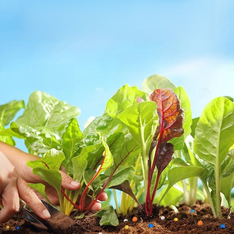 植物緩釋營養棒