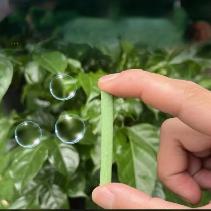 植物緩釋營養棒