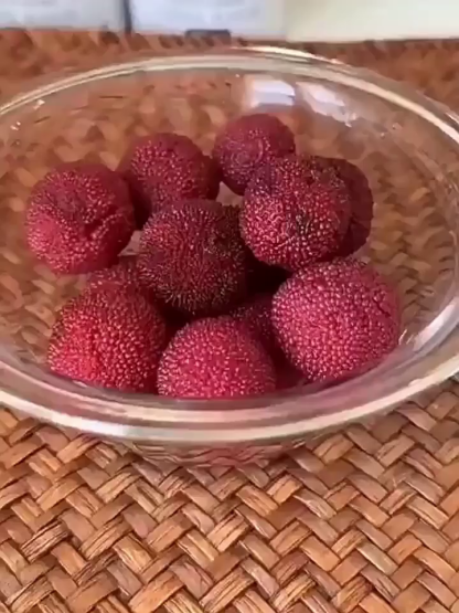【外食族/高血脂救星】新鮮鮮摘糖水楊梅罐頭