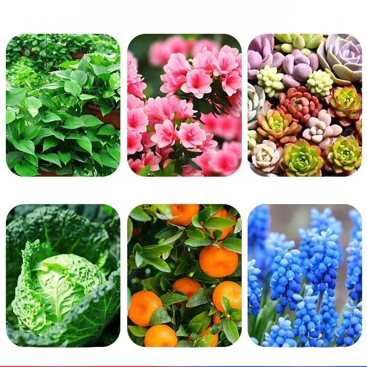 植物緩釋營養棒