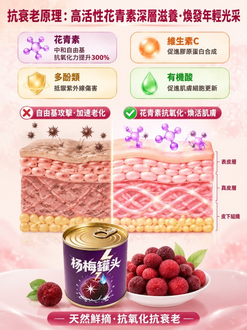 【外食族/高血脂救星】新鮮鮮摘糖水楊梅罐頭
