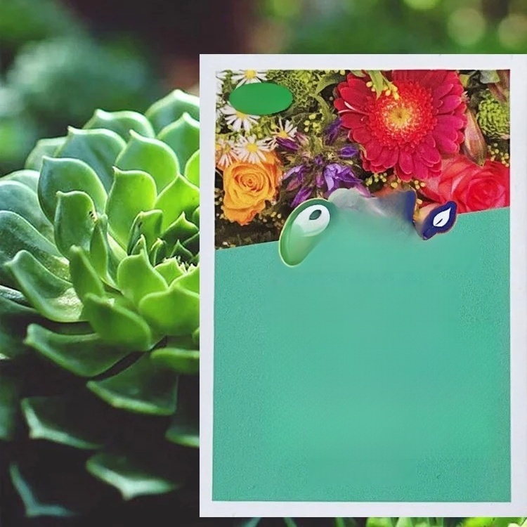 植物緩釋營養棒