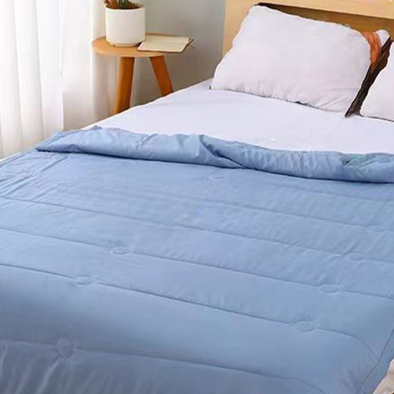 雙人夏季艾草薄被芯