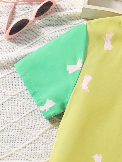 Girls' (large) dress