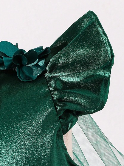 Formal Dresses for Girls (Large)