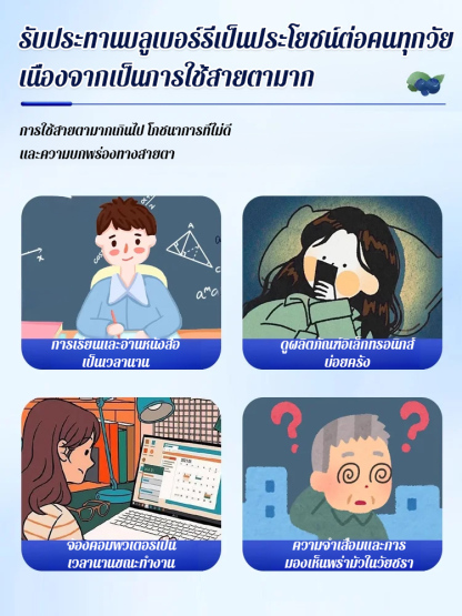 【ไต้หวัน】บลูเบอร์รี่อบแห้งเกรดพรีเมียมไม่มีน้ำตาล