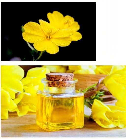 CROPPED E EPO flowers and oil