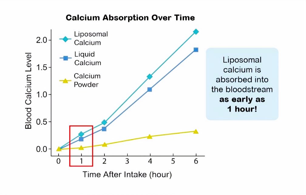 E P absorption chart