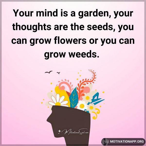 E mind quote