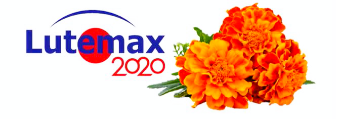 Lutemax 2020
