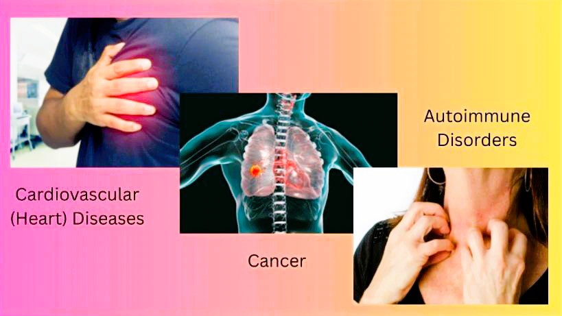 PUNCH ENHANCED omega 6 diseases